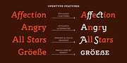 Rogliano Pro, a Slab Serif Font by Untype (Thumbnail 15 of 26)