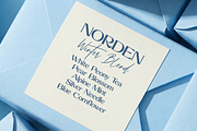 Bastide Celestine Font Duo, a Serif Font by elvinova (Thumbnail 14 of 16)