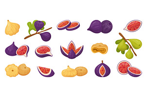 Fig tree fruits. Juicy fresh and dry, an Illustration by Valerie Bodnar