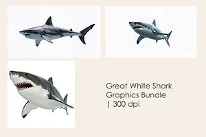 Great White Shark Graphics Bundle, an Animal Illustration by StockVerse Creative
