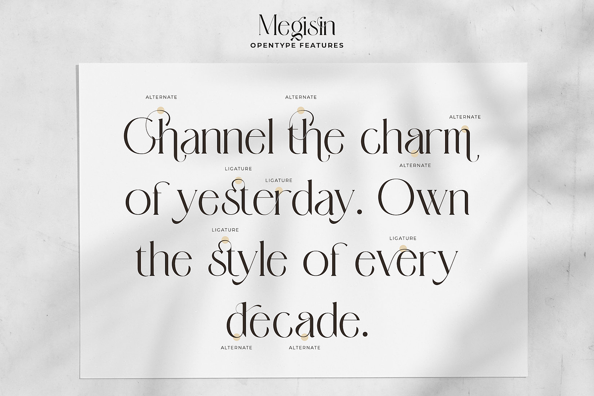 Megisin - Elegant Display Serif Font, a Serif Font by PuriCreative (Photo 7 of 10)