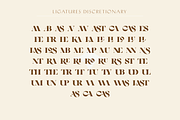Giorgia: A Dreamy HighContrast Serif, a Serif Font by Genilson Santos (Thumbnail 13 of 15)