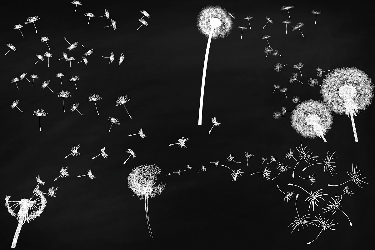 Chalk Dandelions & Overlays Clip Art, an Illustration by FrankiesDaughtersDesign (Photo 3 of 6)