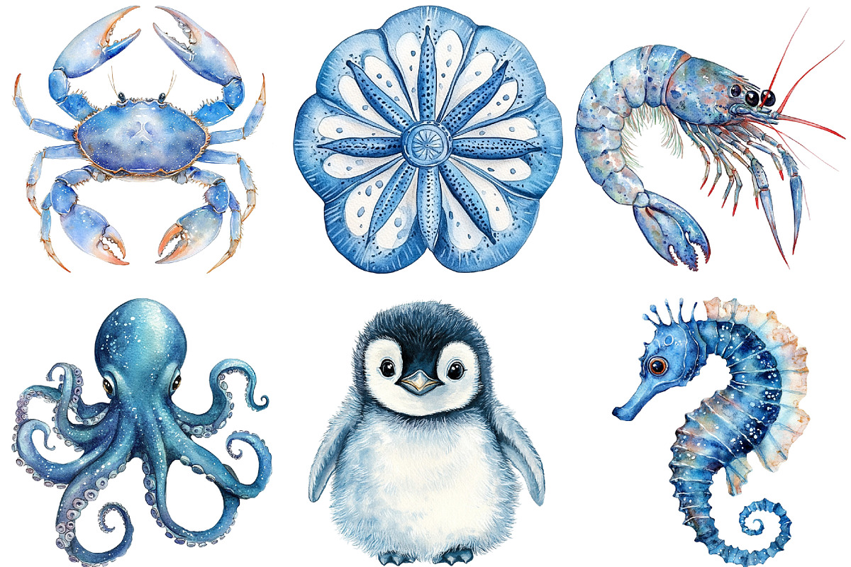 Watercolor Blue Ocean Animals Png, an Animal Illustration by cherrydesign (Photo 2 of 3)