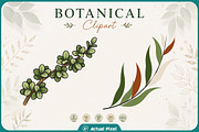 Boho Botanical Leaves Clipart Bundle, a Nature Photo by Actual Pixel (Thumbnail 15 of 21)