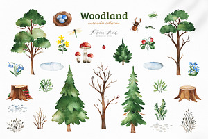 Woodland. Cute Forest Collection.