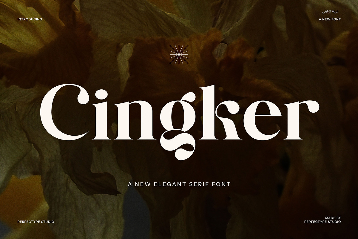 Cingker Modern Display Serif Font, a Serif Font by Perfectype (Photo 1 of 8)