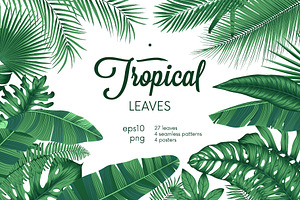 Detailed Tropical Leaves