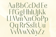 Mugia Elegant Modern Display Font, a Sans Serif Font by timelesstype.co (Thumbnail 4 of 20)