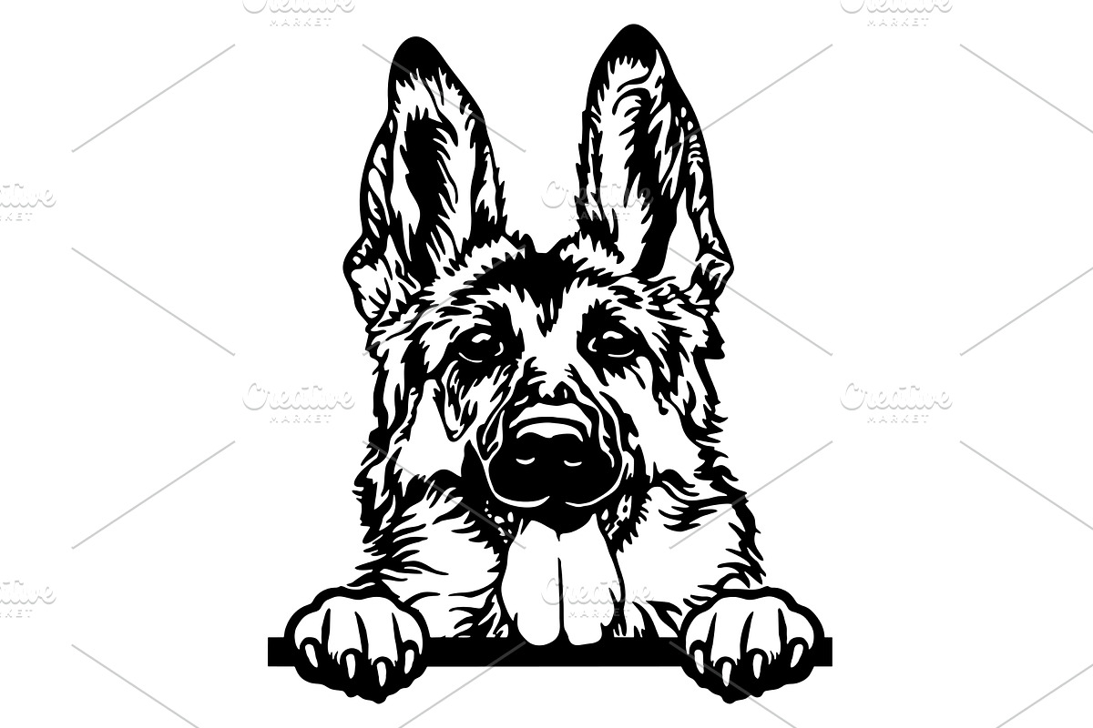 German Shepherd Dog - Peeking Dog, an Animal Illustration by Digital-Clipart
