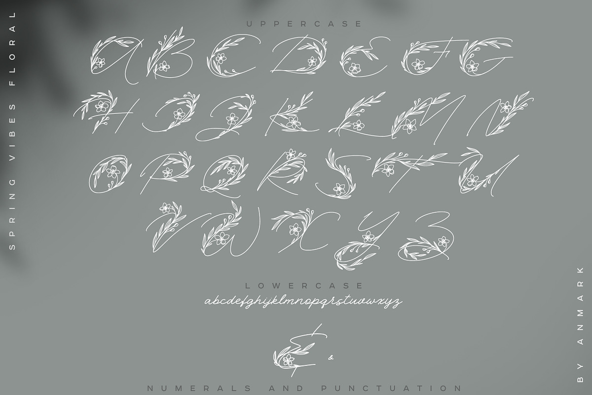 Spring Vibes. Floral Font + Frames, a Script Font by AnMark (Photo 12 of 15)