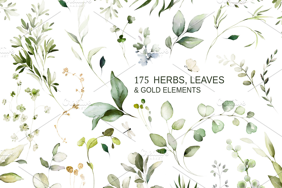 Green watercolor herbs, leaves, a Decorative Illustration by Lisima (Photo 6 of 19)