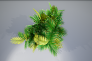 Pinanga coronata, an Environmental 3D Model by AndrewWhite (Thumbnail 16 of 25)