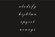 Palominey Wedding Script Font, a Script Font by WhymoreArt (Thumbnail 9 of 10)