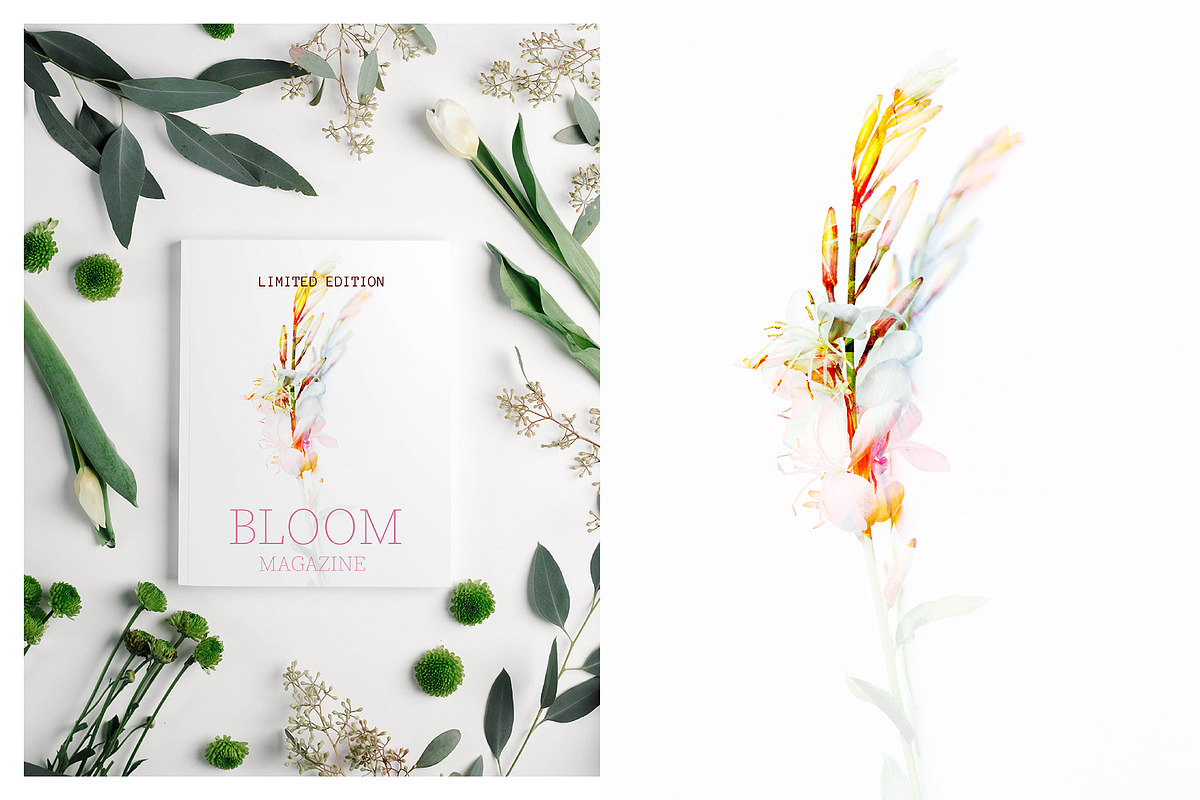 Double exposure stock photo bundle, a Nature Photo by Bloomstock studio (Photo 3 of 4)