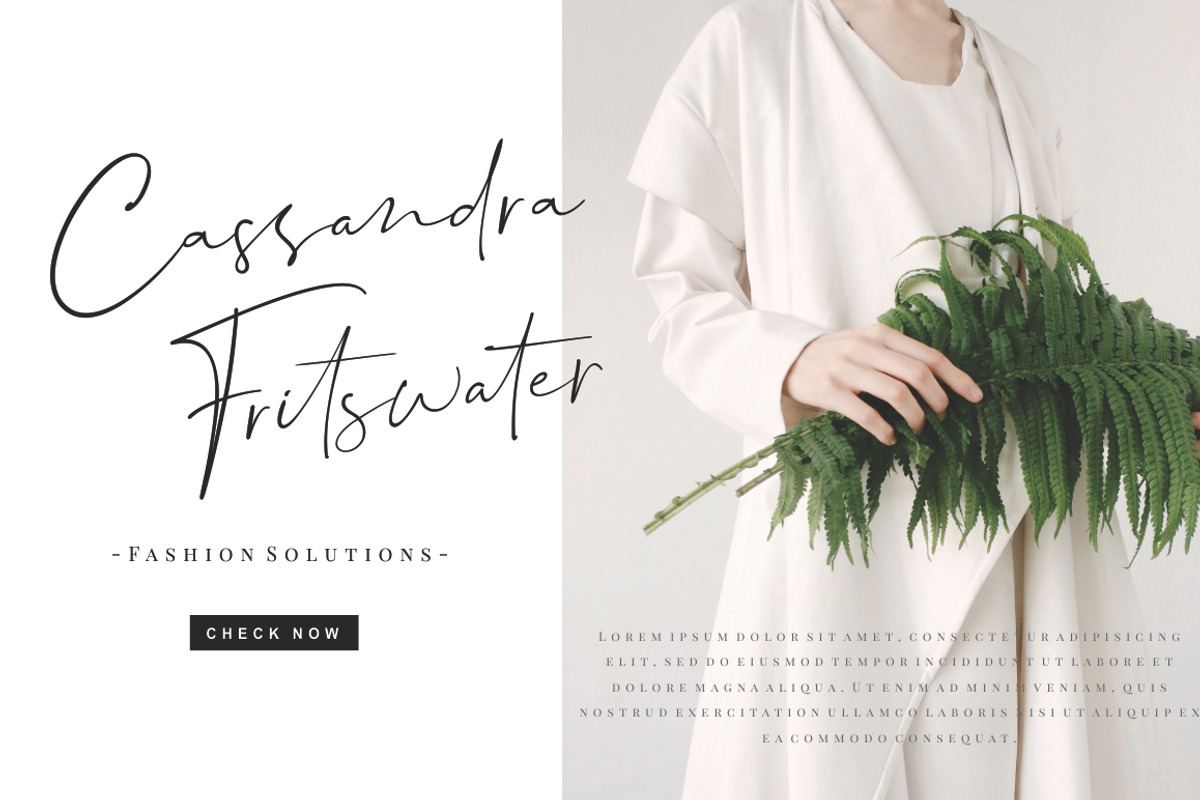 Dalmatins // Elegant Signature Font preview 3
