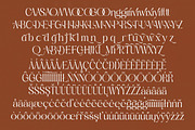 Qasntel Elegant Serif Display, a Serif Font by timelesstype.co (Thumbnail 18 of 20)