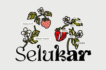 Selukar - Display Variable Font