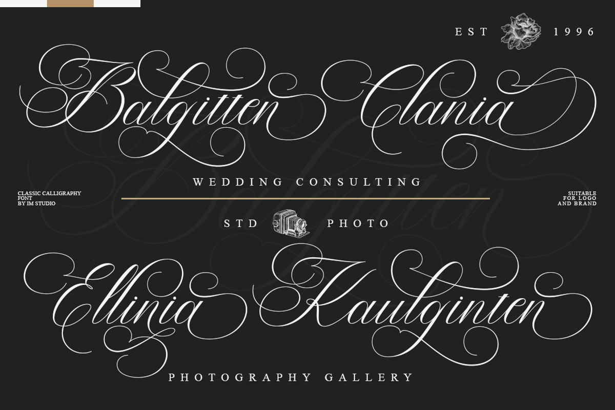 Balgitten Script, a Script Font by IM Studio (Photo 4 of 8)