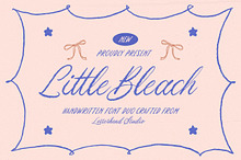Little Bleach Handwritten Font Duo