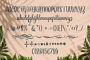 Bellefonte - Feminine Typeface, a Script Font by SusiType (Thumbnail 8 of 9)