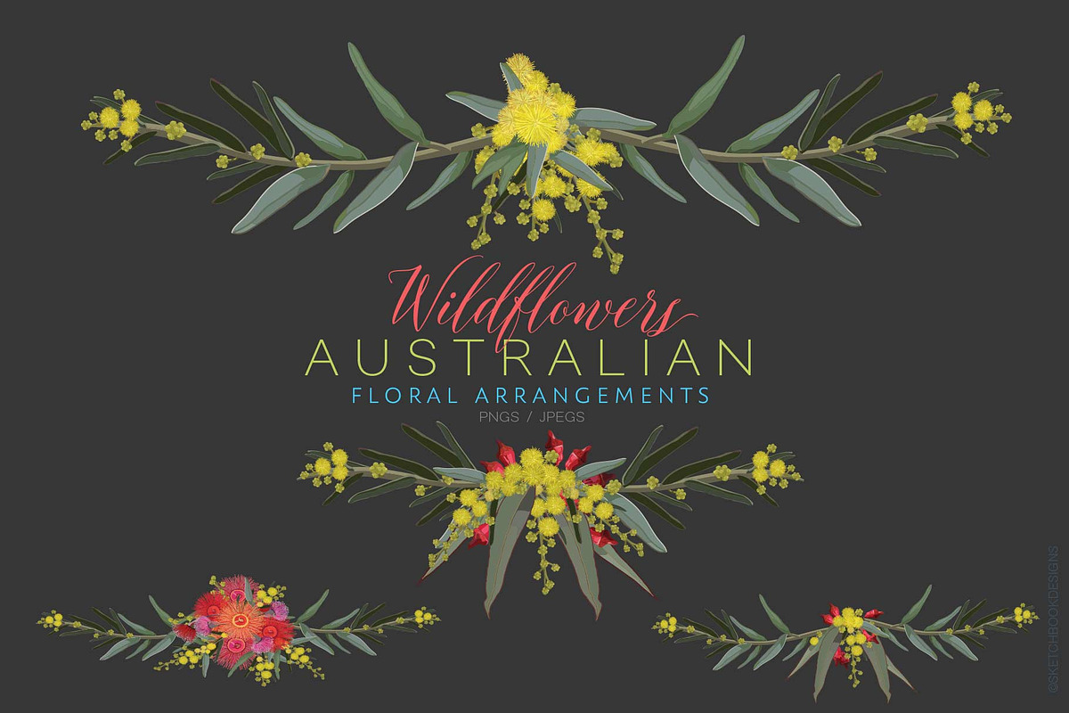 Wildflowers Australian Design Set, an Illustration by Sketchbook Designs (Photo 7 of 11)