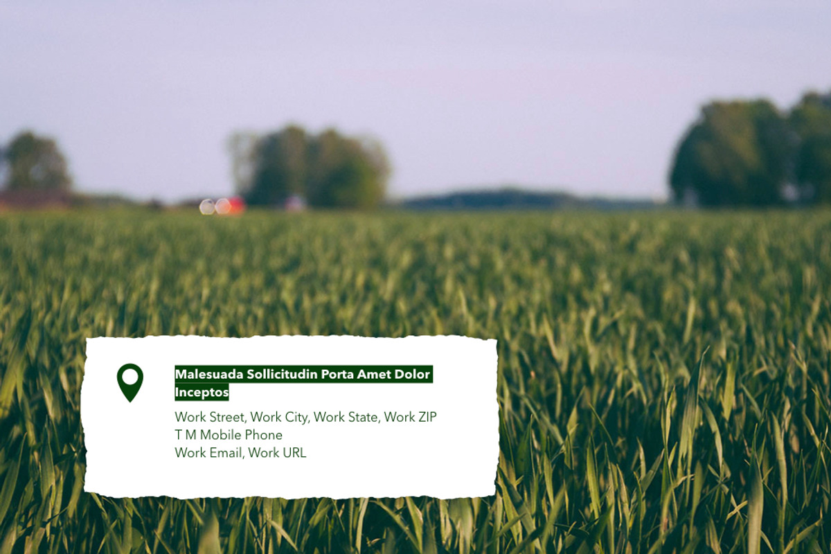 Farming Keynote Template, a Presentation Template by Jumsoft (Photo 20 of 21)