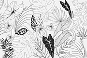 Tropical collection, a Decorative Illustration by Merfin (Thumbnail 9 of 10)