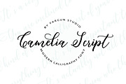 Camelia Script, a Script Font by Fargun Studio (Thumbnail 14 of 14)