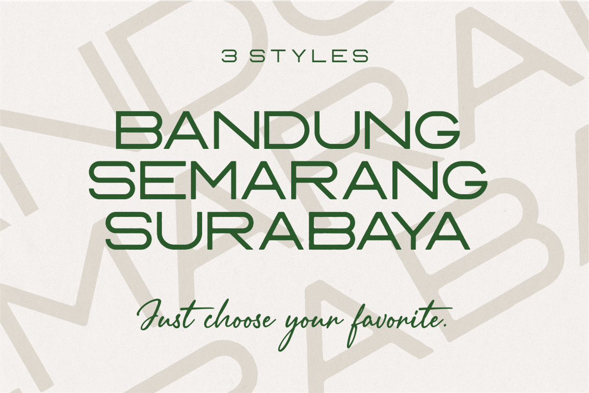 Manta Style Modern Font Duo, a Sans Serif Font by Vilogsign (Photo 2 of 9)