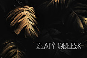 Morning Fog Modern Cyrillic Font, a Sans Serif Font by IraDvilyuk (Thumbnail 8 of 11)