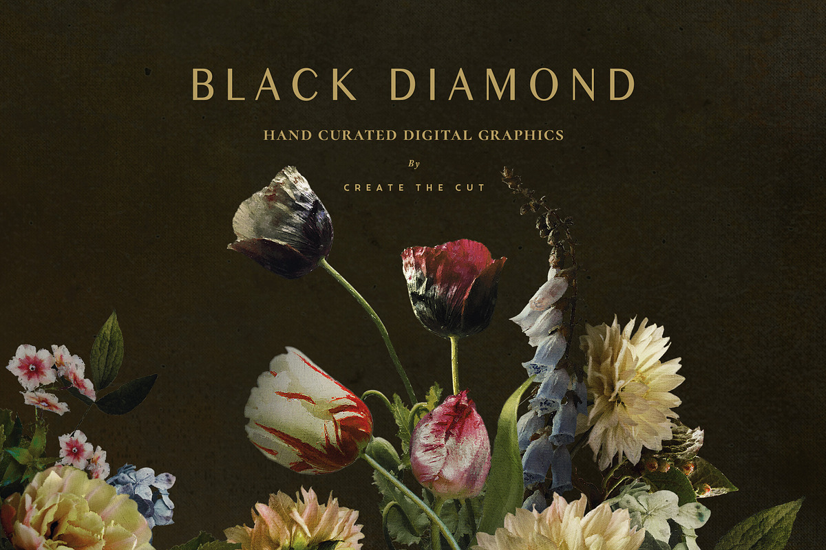 Black Diamond - Digital Graphics, an Illustration by Create The Cut (Photo 14 of 14)