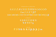 Bravillie - Serif Typeface Font, a Serif Font by Rishsketch (Thumbnail 14 of 15)