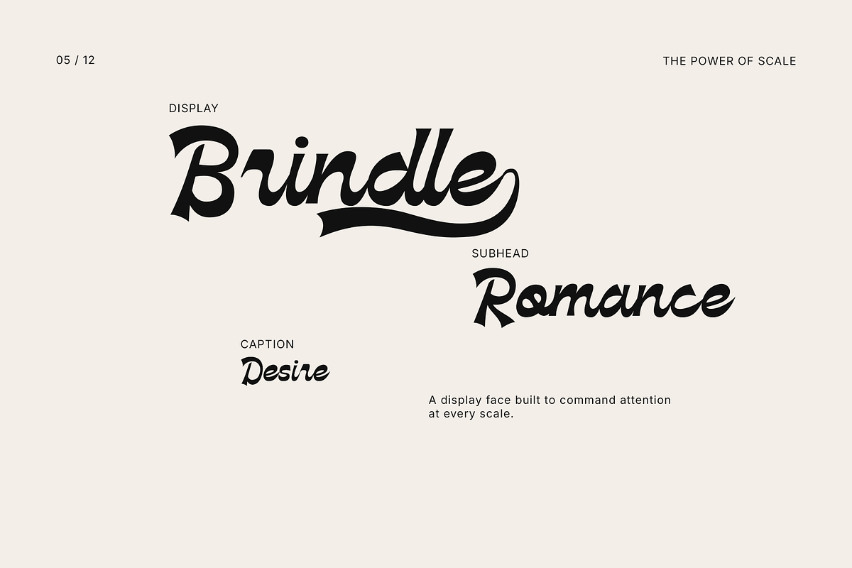 Brindle — Bold Script Display Font, a Handwritten Font by Hasbi Creative (Photo 5 of 12)