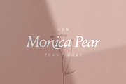 Late Eighties Font & Florals, a Serif Font by Creativeqube Design (Thumbnail 6 of 10)