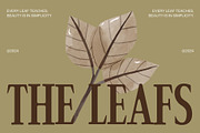 Nord Wood - Serif Display Font, a Serif Font by Studio Moara (Thumbnail 4 of 8)