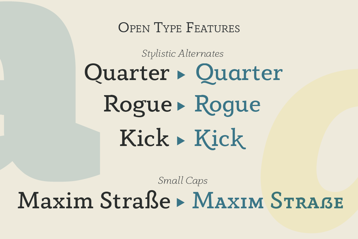 Anaphora - 22 Fonts, a Serif Font by Zetafonts (Photo 10 of 11)