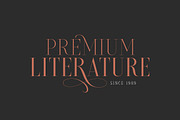 Brioche Family (70% OFF), a Serif Font by Sarid Ezra (Thumbnail 7 of 10)