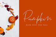 Lightheartedly Signature style font, a Script Font by Creativeqube Design (Thumbnail 12 of 14)