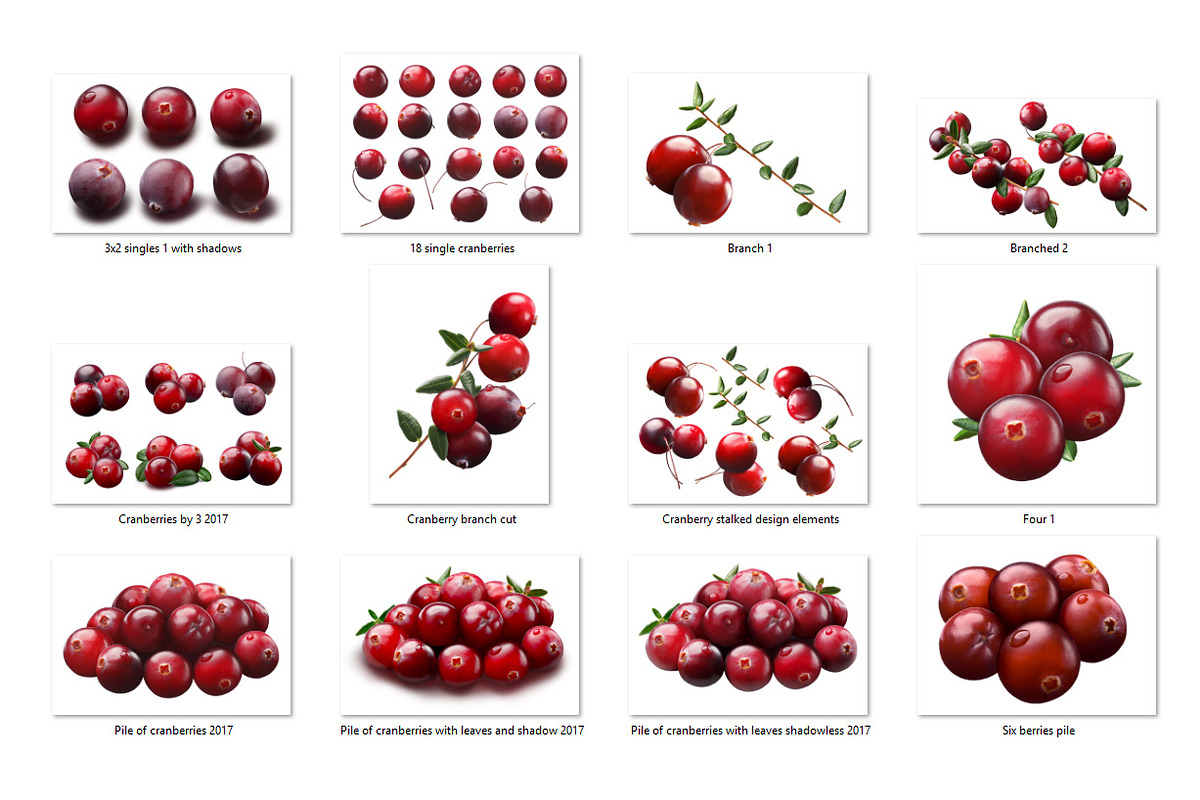 Cranberries—46 images, an Object Graphic by Hortimages (Photo 2 of 8)