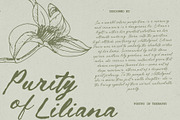 Poetry Therapy - Rough Script, a Script Font by Bale Type (Thumbnail 6 of 9)