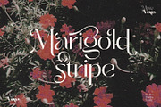 Missy Voya - Modern font family, a Sans Serif Font by creativemedialab (Thumbnail 5 of 23)