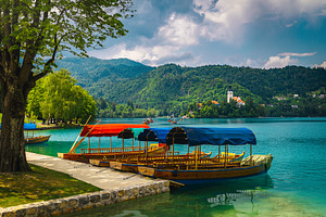 Anchored pletna boats on the lake, a Transportation Photo by Alpine Dreams