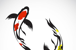 Vector Of Carp Koi Fish. Pet.