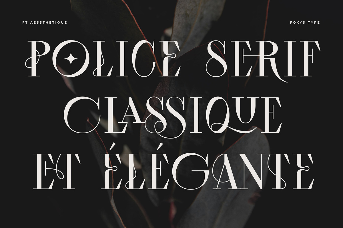 Aessthetique, a Serif Font by Foxys Type (Photo 6 of 11)