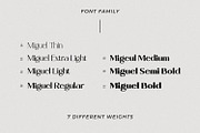 Miguel, a Serif Font by din-studio.com (Thumbnail 5 of 11)