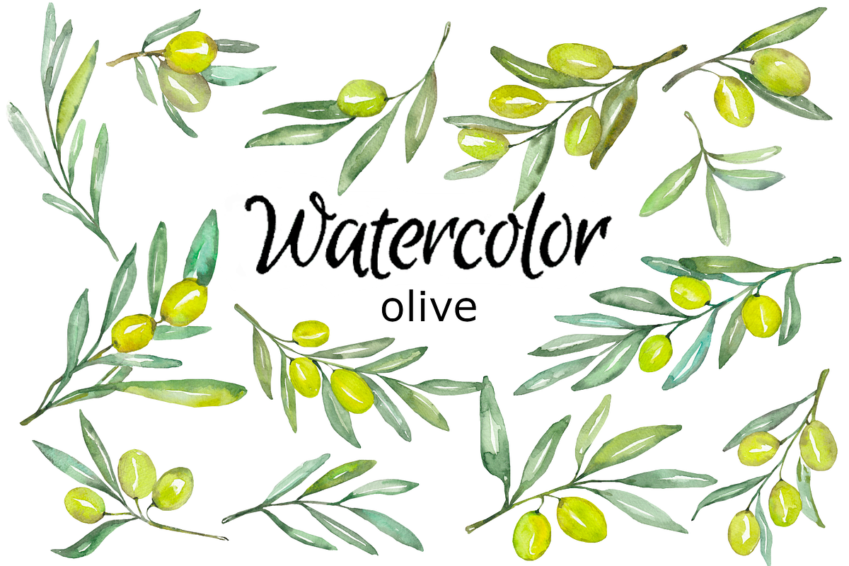 Olive watercolor clipart, a Background Graphic by GoodFairyClipArt (Photo 1 of 3)