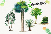 Watercolor Exotic Trees, an Illustration by Graphobia (Thumbnail 4 of 11)