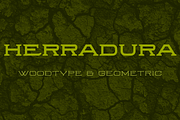 Herradura Font Family, a Slab Serif Font by Graviton Font Foundry (Thumbnail 1 of 4)