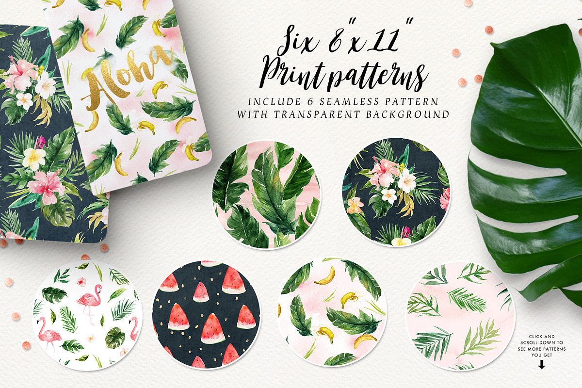 Summer Design Set-Tropical, an Animal Illustration by Graphic Box (Photo 5 of 9)
